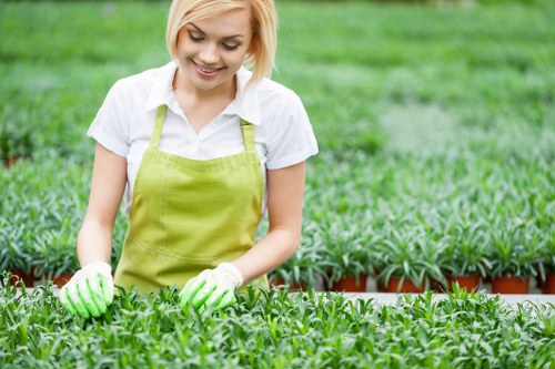 A young woman dressed in a white shirt and a light green apron, wearing gardening gloves, is tending to a well-maintained outdoor garden. She is carefully examining or planting in a densely packed bed of small green plants, which may be seedlings or young shrubs. In the background, there are multiple rows of similar plants, indicating a nursery or dedicated garden space. The garden is bordered by a low, reddish-brown edging, and the overall scene is set in natural daylight with a gentle, soft focus on the lush, vibrant greenery. The environment appears tidy and professionally maintained, consistent with landscape or gardening services. Subtle references to local landscaping in Brockley or Southeast London are supported by the setting's urban garden context, aligning with services offered by Lawn Mowing Brockley. The scene emphasizes healthy, evenly grown plants and neat garden design, suggesting expert care and maintenance in a residential or community outdoor space.